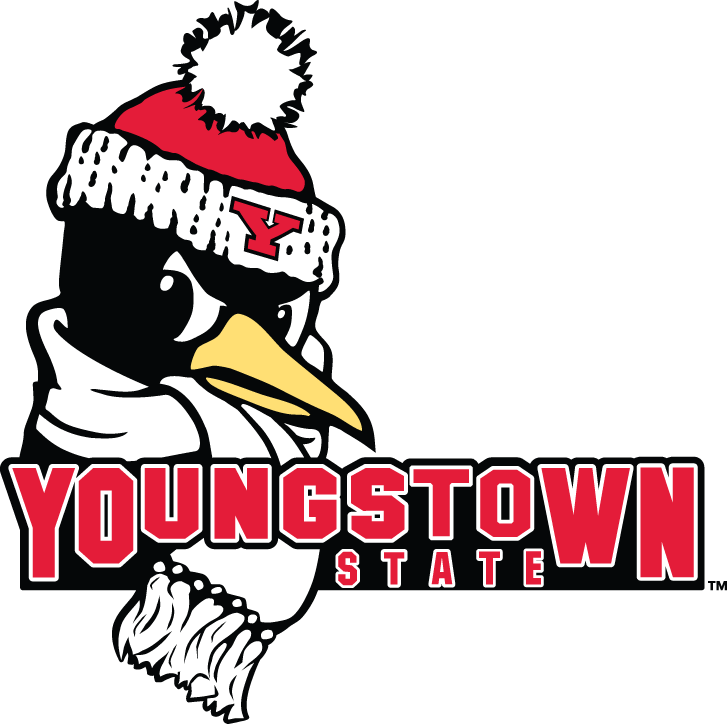 Youngstown State Penguins 2006-Pres Secondary Logo diy fabric transfer